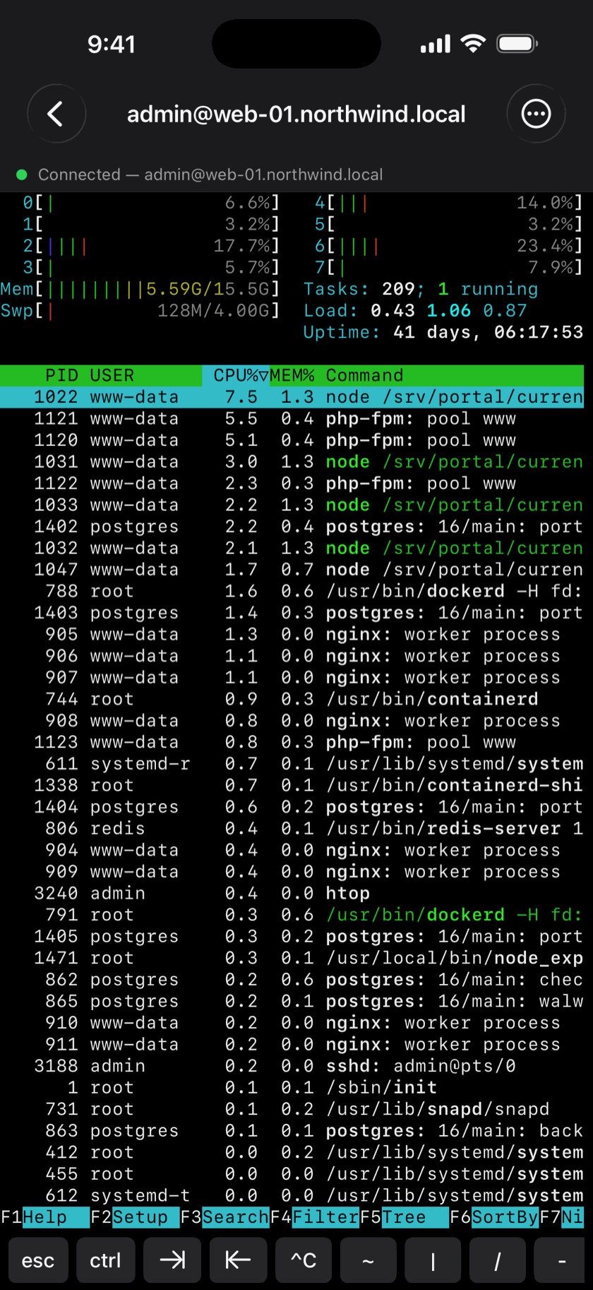 SSH terminal connected to a Linux server running htop, with the special-keys bar